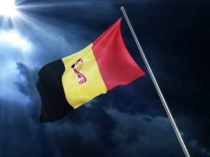 电竞赛场焦点！中国队对阵俄罗斯队，强强对话引爆全球球迷关注