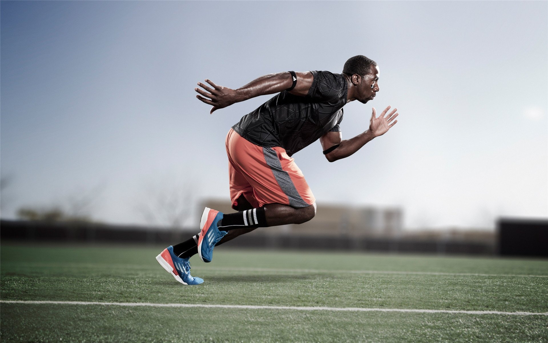 排球赛场焦点！日本队对阵澳大利亚队，防守反击奏效，球队笑到最后